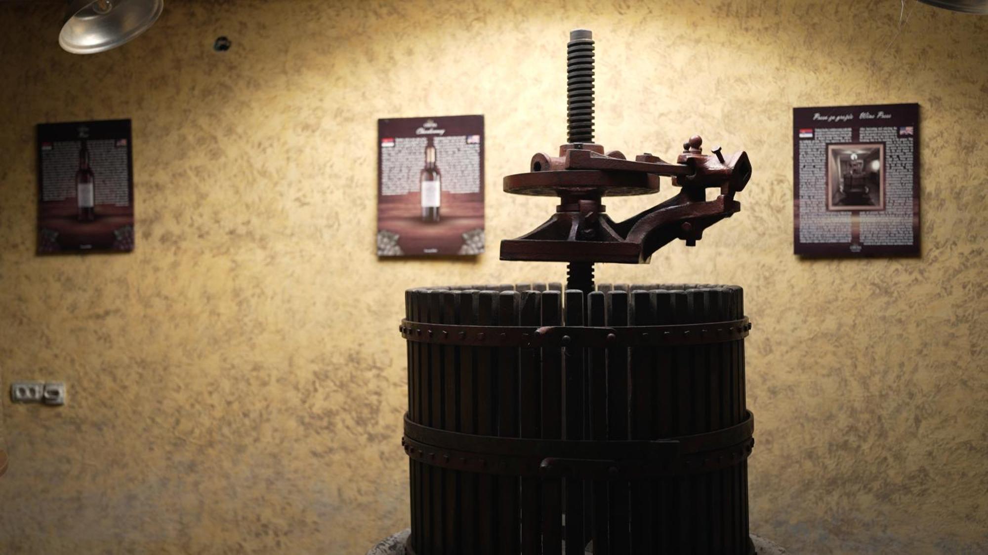 Garni Hotel Chicha - Winery Skrbic 贝尔格莱德 外观 照片