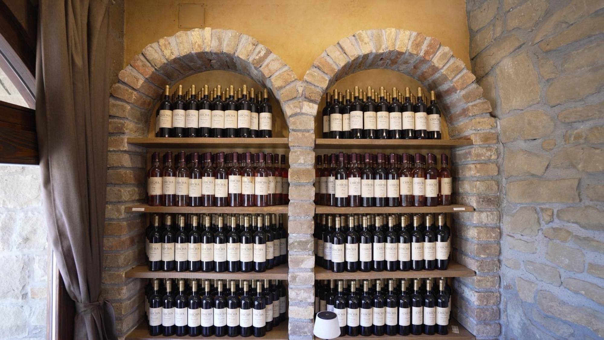 Garni Hotel Chicha - Winery Skrbic 贝尔格莱德 外观 照片