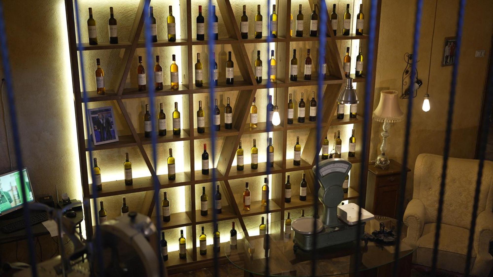 Garni Hotel Chicha - Winery Skrbic 贝尔格莱德 外观 照片
