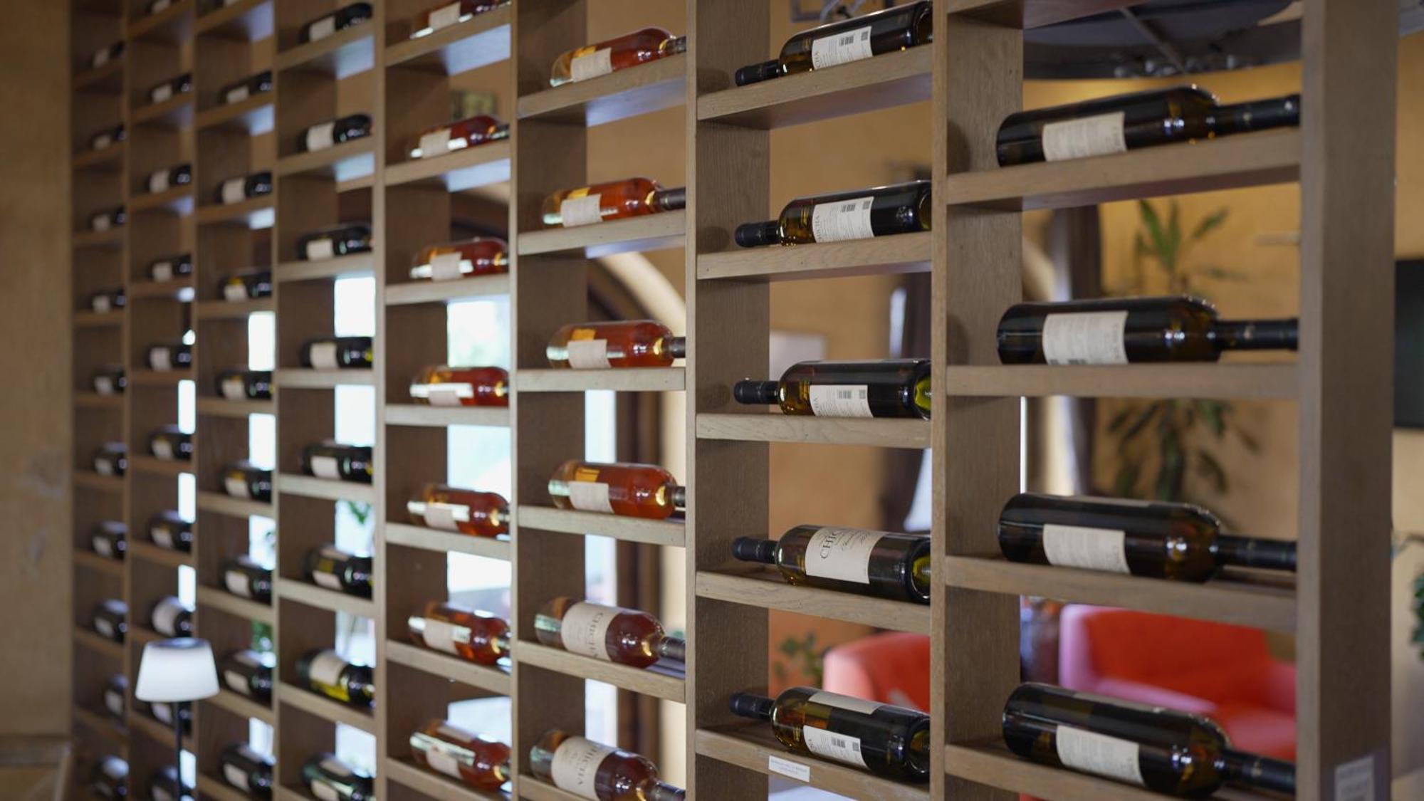 Garni Hotel Chicha - Winery Skrbic 贝尔格莱德 外观 照片