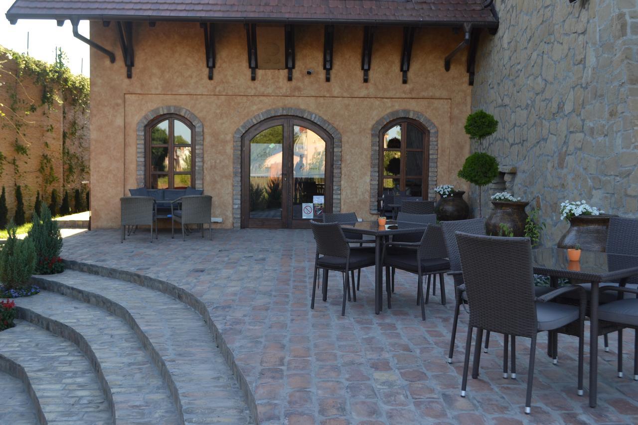 Garni Hotel Chicha - Winery Skrbic 贝尔格莱德 外观 照片