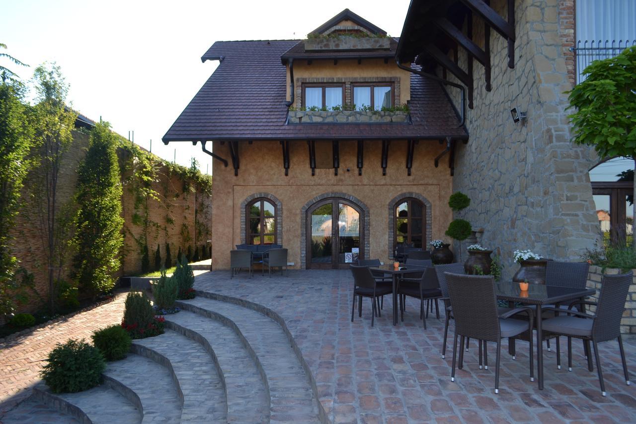 Garni Hotel Chicha - Winery Skrbic 贝尔格莱德 外观 照片
