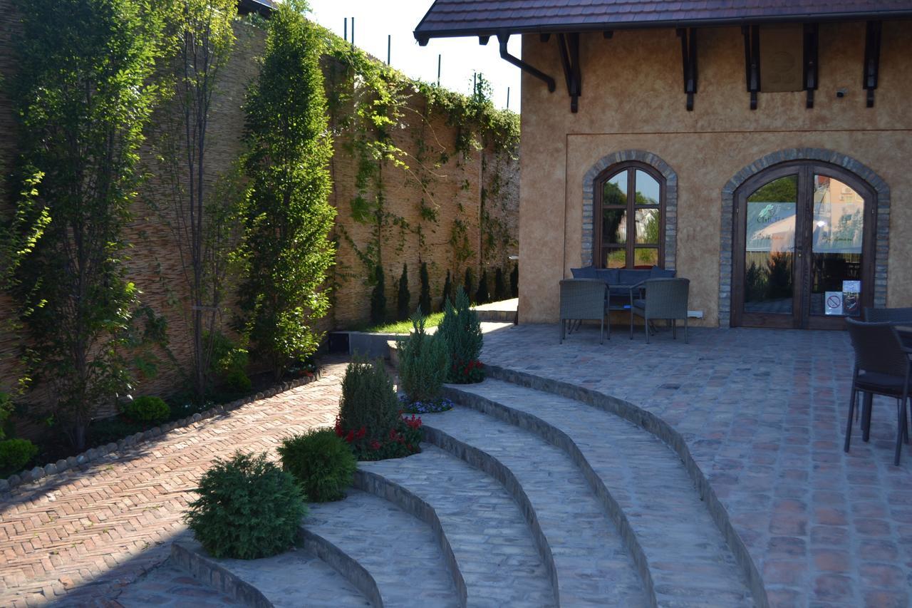 Garni Hotel Chicha - Winery Skrbic 贝尔格莱德 外观 照片