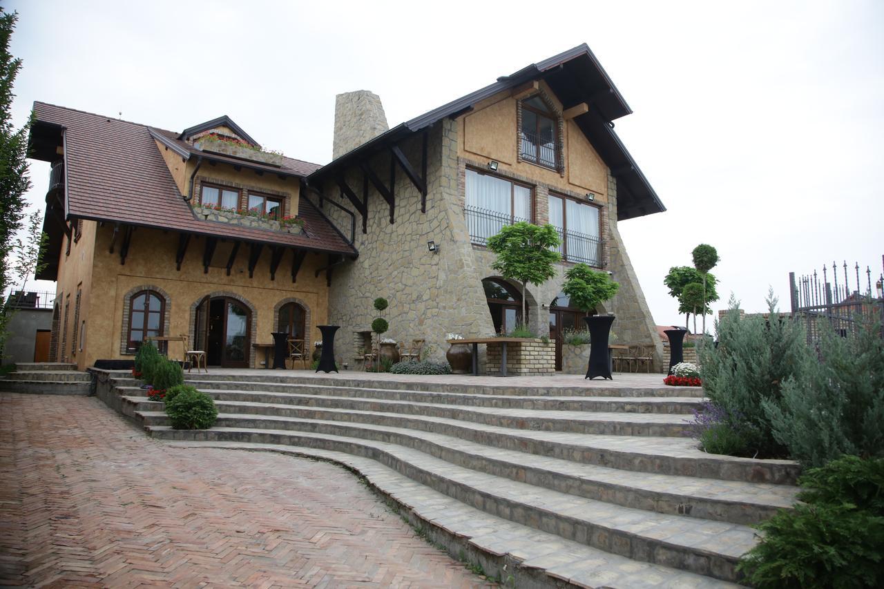 Garni Hotel Chicha - Winery Skrbic 贝尔格莱德 外观 照片